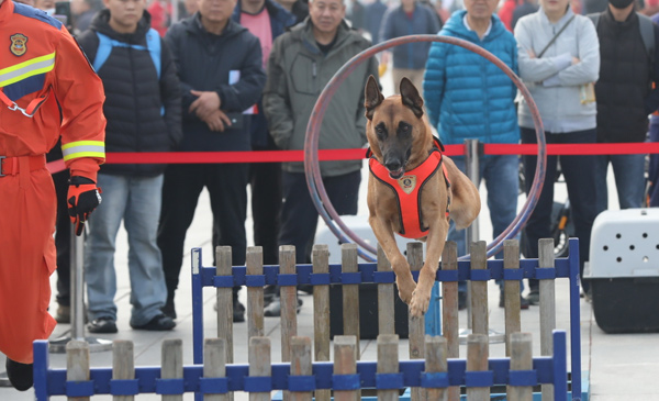 消防宣传月全域联动亮点纷呈